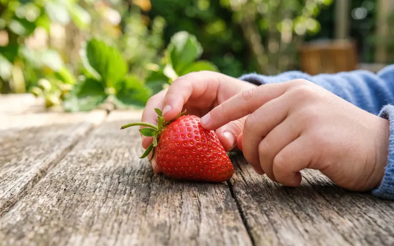 my son can’t see how do i explain colours to him using red strawberry texture